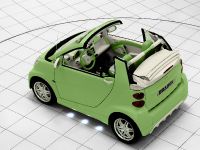 Smart fortwo BRABUS (2009) - picture 4 of 14