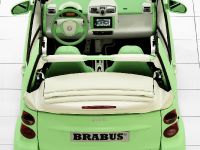 Smart fortwo BRABUS (2009) - picture 5 of 14