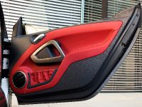 smart fortwo electric drive (2009)