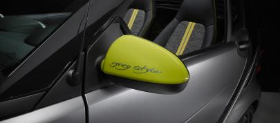 smart fortwo greystyle edition (2010) - picture 4 of 5