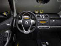 smart fortwo greystyle edition (2010) - picture 3 of 5