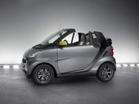 smart fortwo greystyle edition (2010) - picture 3 of 5