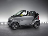 smart fortwo greystyle edition (2010) - picture 1 of 5