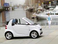 Smart Fortwo Iceshine Edition (2012) - picture 18 of 30