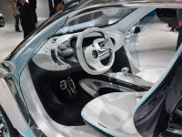 smart fourjoy Frankfurt (2013)