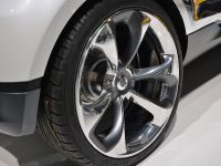 smart fourjoy Frankfurt (2013)