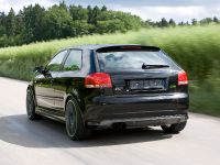 Sportec Audi RS 300 (2007) - picture 6 of 14