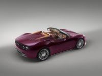 Spyker B6 Venator Spyder (2013) - picture 4 of 20