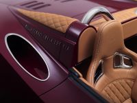 Spyker B6 Venator Spyder (2013) - picture 13 of 20