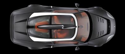 Spyker C8 Aileron (2008) - picture 12 of 14