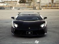 SR Auto Lamborghini Aventador Black Bull (2014) - picture 1 of 11