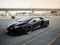 SR Auto Lamborghini Aventador Black Bull (2014) - picture 6 of 11
