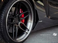 SR Auto Lamborghini Aventador Black Bull (2014) - picture 10 of 11