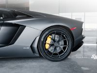 SR Auto Lamborghini Aventador LP-700 Nero Nemesis (2012) - picture 7 of 8