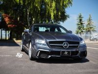 SR Auto Mercedes-Benz CLS63 AMG Project Maximus (2012) - picture 3 of 14