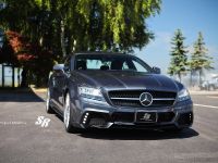 SR Auto Mercedes-Benz CLS63 AMG Project Maximus (2012) - picture 3 of 14