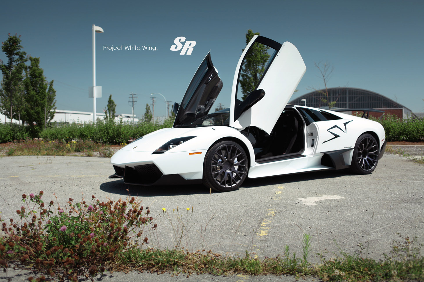 SR Auto White Wing Lamborghini Murcielago SV