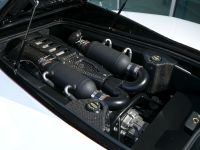 SSC Ultimate Aero EV (2009) - picture 6 of 8
