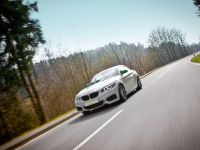 ST Audi A3 and BMW 2-series Coupe (2014) - picture 5 of 10