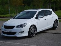 STEINMETZ Opel Astra J (2010) - picture 7 of 7