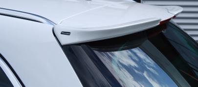 STEINMETZ Opel Insignia SportsTourer (2009) - picture 12 of 18