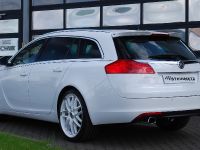 STEINMETZ Opel Insignia SportsTourer (2009) - picture 5 of 18