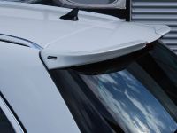 STEINMETZ Opel Insignia SportsTourer (2009)