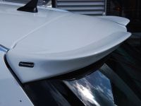 STEINMETZ Opel Insignia SportsTourer (2009)