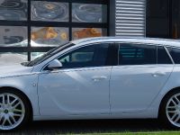STEINMETZ Opel Insignia SportsTourer (2009)
