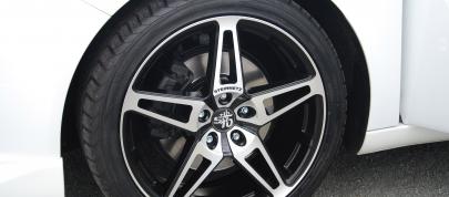 STEINMETZ ST10 (2010) - picture 7 of 13