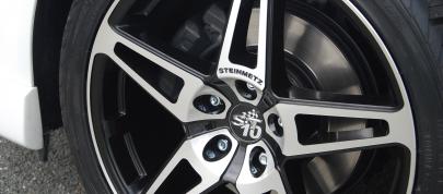 STEINMETZ ST10 (2010) - picture 12 of 13