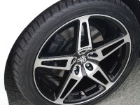 STEINMETZ ST10 (2010) - picture 11 of 13