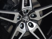 STEINMETZ ST10 (2010)