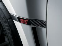 Subaru Impreza R205 (2010) - picture 10 of 16