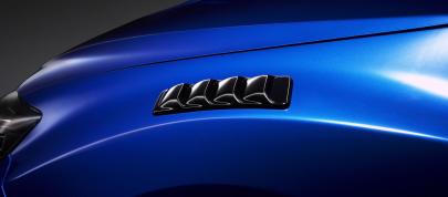 Subaru Impreza WRX STI S206 (2012) - picture 12 of 49