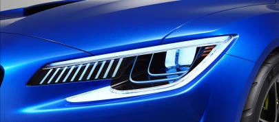 Subaru WRX Concept (2013) - picture 12 of 32