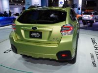 Subaru XV Crosstrek Hybrid New York (2013) - picture 6 of 6