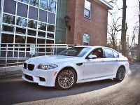 Switzer BMW M5 F10 (2013) - picture 1 of 8