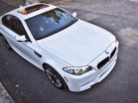 Switzer BMW M5 F10 (2013) - picture 3 of 8