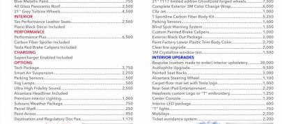 T Sportline Tesla Model S Performance (2014) - picture 15 of 15