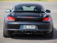 TECHART Porsche Cayman GT (2009) - picture 2 of 10