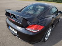 TECHART Porsche Cayman GT (2009) - picture 4 of 10