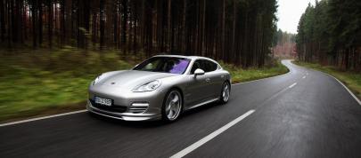 TECHART Porsche Panamera (2010) - picture 7 of 26
