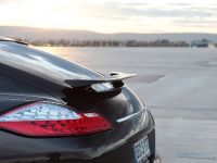 TECHART Porsche Panamera (2010) - picture 4 of 26