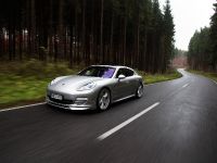 TECHART Porsche Panamera (2010) - picture 7 of 26