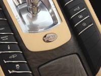 TECHART Porsche Panamera (2010) - picture 21 of 26