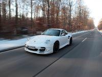 TECHART Porsche 911 Turbo S (2010) - picture 7 of 9