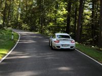 TECHART Porsche 911 Turbo (2011) - picture 3 of 4
