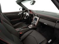 TECHART Porsche 911 (2009) - picture 10 of 12