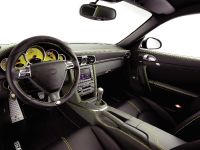 TECHART Porsche 911 (2009) - picture 11 of 12